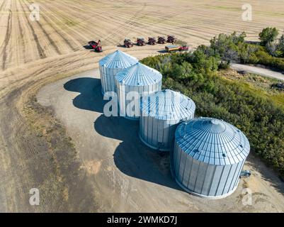 Vista aerea di grandi contenitori di grano metallico in un campo tagliato lungo una fila di alberi con una fila di mietitrebbie, vicino a Beiseker, Alberta; Alberta, Canada Foto Stock