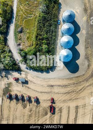 Vista aerea di grandi contenitori di grano metallico in un campo tagliato lungo una fila di alberi con una fila di mietitrebbie, vicino a Beiseker, Alberta; Alberta, Canada Foto Stock