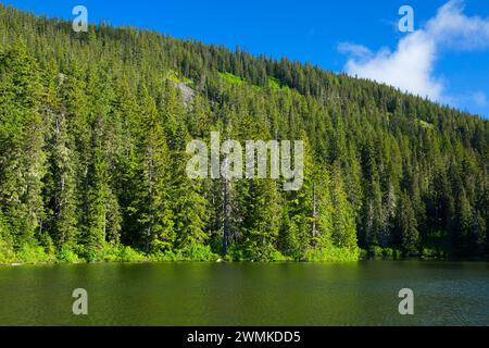 Shellrock lago, fiume ruggenti deserto, Mt Hood National Forest, Oregon Foto Stock