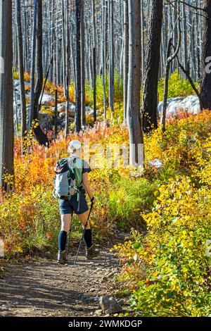 Escursionista femminile lungo un sentiero in una foresta bruciata con colorate cascate sottostanti nel Waterton Lakes National Park; Waterton, Alberta, Canada Foto Stock