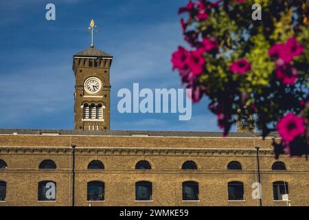 Torre dell'orologio e edificio con fioritura sfocati in primo piano, a St Katharine Docks Marina, Londra, Regno Unito; Londra, Inghilterra Foto Stock