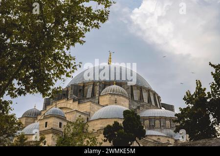 Moschea Suleymaniye; Istanbul, Turchia Foto Stock