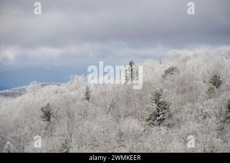 Rime Ice copre gli alberi in questa scena di montagna Foto Stock