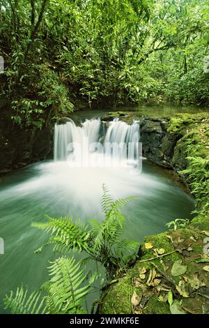 Cascata della foresta pluviale in Costa Rica; Costa Rica Foto Stock