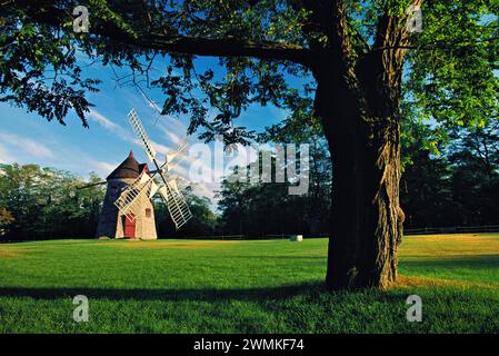 Jonathan Young Windmill a Orleans; Cape Cod, Massachusetts, Stati Uniti d'America Foto Stock