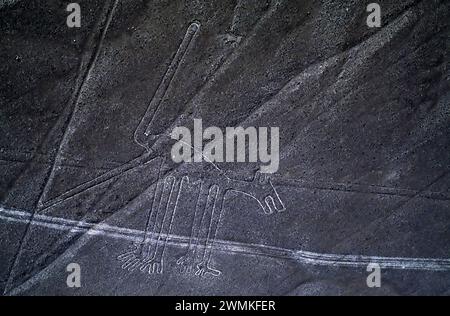 Figure di animali e forme geometriche fanno parte delle misteriose linee di Nazca meglio viste dall'alto nel deserto peruviano. Le cifre... come... Foto Stock