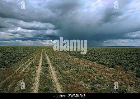 La strada sterrata attraversa un mare di sabbia fino a cieli bui e nuvolosi di una tempesta di pioggia lontana e incombente. Gli ecosistemi Sagebrush coprono vasti tratti di wester... Foto Stock