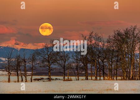 Catena montuosa innevata che riflette la luce calda all'alba con nuvole rosa e una luna piena calda e luminosa su un campo innevato con una fila di... Foto Stock