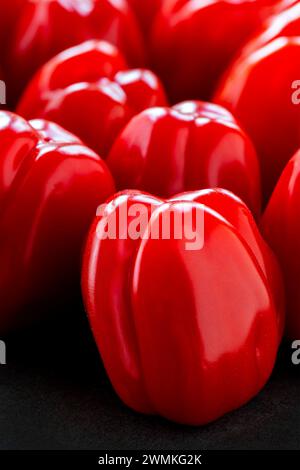 Primo piano di diversi pomodori dell'uva posti sulle estremità di una lavagna nera; Studio Shot Foto Stock