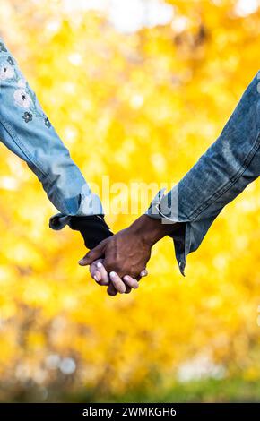 Primo piano delle mani strette di una coppia di corse miste, tenendosi per mano e trascorrendo del tempo insieme durante una gita in famiglia autunnale in un parco cittadino Foto Stock