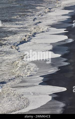 Fai surf su una spiaggia di sabbia nera nel sud dell'Islanda, sull'isola Dyrholaey vicino a Vik; sull'isola Dyrholaey, Islanda Foto Stock