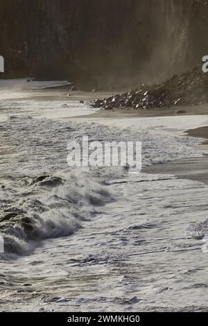 Fai surf su una spiaggia nel sud dell'Islanda, vicino a Vik; Dyrholaey Island, Islanda Foto Stock