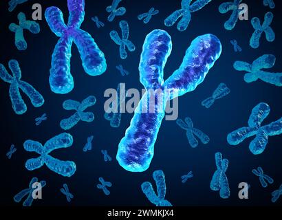 Cromosoma Y che scompare e cromosomi Y che si estinguono come concetto per una struttura x biologia umana contenente informazioni genetiche sul dna come medico Foto Stock