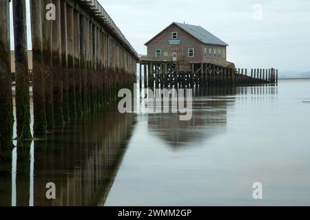 Pier's fine, Garibaldi, Oregon Foto Stock