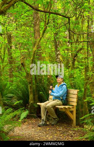 Panchina lungo la flora e la Fauna Trail, Kilchis Point Reserve, Bay City, Oregon Foto Stock