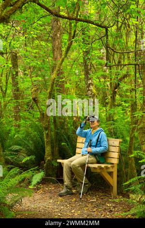 Panchina lungo la flora e la Fauna Trail, Kilchis Point Reserve, Bay City, Oregon Foto Stock