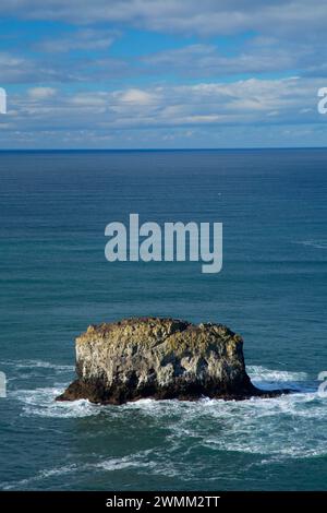 Pilastro Rock, Cape Meares parco statale, Oregon Foto Stock