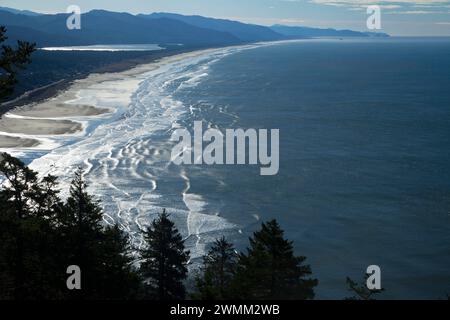 Viste sul ciglio della strada dalla montagna Neahkanie, Oswald West State Park, Oregon Foto Stock