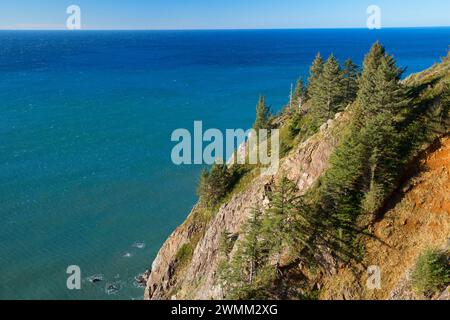 Viste sul ciglio della strada dalla montagna Neahkanie, Oswald West State Park, Oregon Foto Stock