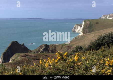 Affacciato su Durdle Door, South West Coastal Path Foto Stock