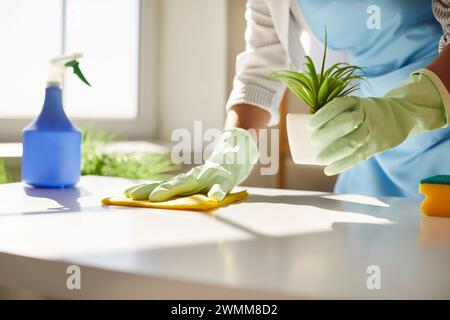 La casalinga che indossa guanti in gomma pulisce la casa e pulisce la superficie del tavolo con un panno bagnato Foto Stock