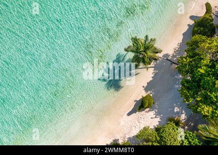 Vista dall'alto sulla spiaggia di sabbia. Spiaggia tropicale con sabbia bianca e mare turchese, palme sotto la luce del sole. Vista panoramica su un drone, destinazione turistica di lusso Foto Stock