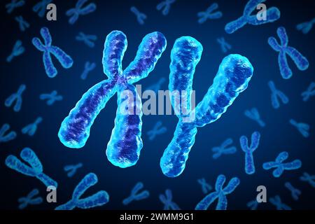 Cromosomi X e Y come concetto di cromosoma maschile per una struttura di biologia umana contenente informazioni genetiche sul dna come simbolo medico per la terapia genica Foto Stock