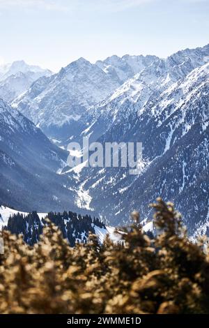 Vista dalla cima della pista su carta da parati innevata delle alte montagne. Stazione sciistica di Karakol in Kirghizistan. Paesaggio naturale invernale, catena montuosa, cespugli marroni in primo piano. Fiume ghiacciato nella gola. Foto Stock