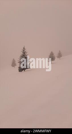 Es. con il tempo bianco, bianco o lattiginoso, una condizione meteorologica in cui i contorni e i punti di riferimento in una zona coperta di neve diventano quasi indistinguibili Foto Stock