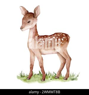 Acquerello di cervo su erba verde astratta. Cervi maculati isolati su sfondo bianco. Modello di animale selvatico dipinto a mano per il tessuto. Realistico Foto Stock