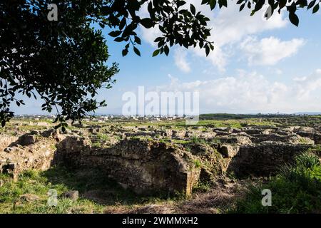 Siria, Ugarit, Ugaret, sito archeologico Foto Stock