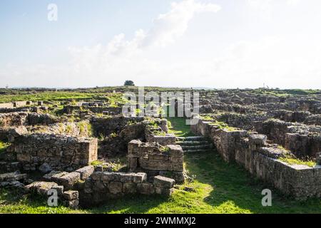 Siria, Ugarit, Ugaret, sito archeologico Foto Stock