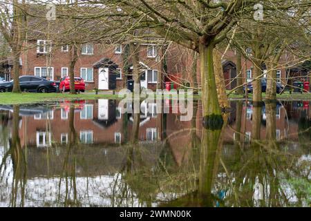 Colnbrook, Slough, Berkshire, Regno Unito. 27 febbraio 2024. Acqua del Colne Brook a Colnbrook, Slough, Berkshire. Un allarme alluvione è in atto per il Colne Brook a Iver e Colnbrook nel Berkshire. Crediti: Maureen McLean/Alamy Live News Foto Stock