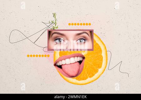 Collage immagine creativa caricatura mezza diapositiva elemento agrumato arancio occhi umani bocca bozzetto banner modello insolito Foto Stock