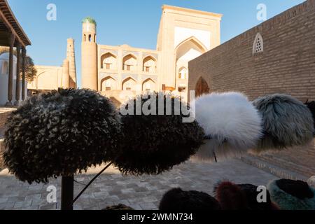 Foto ravvicinata della succulenta berlina uzbeka, Khiva, l'oasi agricola di Khoresm, la Cittadella. Foto Stock