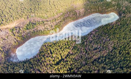 Vista aerea del lago nelle foreste lituane, inverno, natura selvaggia. Nome del lago "Lydekinis", distretto di Varena, Europa. Foto Stock