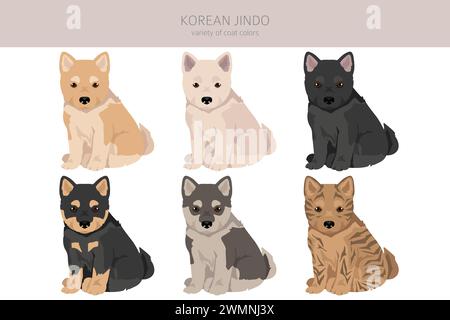 Cucciolo coreano Jindo clipart. Pose diverse, set di colori per cappotti. Illustrazione vettoriale Illustrazione Vettoriale