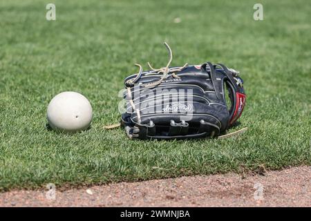 Lakeland FL USA; Un'immagine generale di un guanto da baseball e di una palla ponderata sul campo prima di una partita di allenamento primaverile della MLB tra i Detroit Tigers An Foto Stock