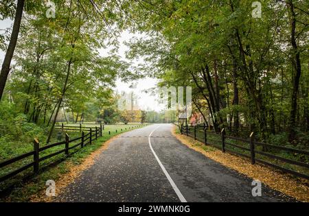 Strada a due corsie attraverso la foresta, recinzione di legno ai lati della strada. All'inizio dell'autunno, quando gli alberi sono ancora verdi. Foto Stock