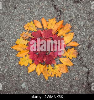 L'autunno lascia l'asfalto a forma di sole. Creazione di figure e motivi dalle foglie autunnali - simbolo del sole fatto di foglie arancioni e rosse (tra cui Foto Stock