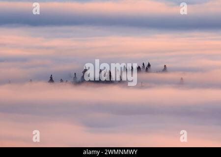 Willamette Valley nebbia dal vertice, Spencer Butte Park, Eugene, Oregon Foto Stock