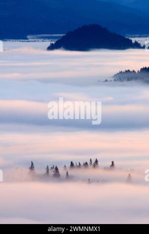 Willamette Valley nebbia dal vertice, Spencer Butte Park, Eugene, Oregon Foto Stock