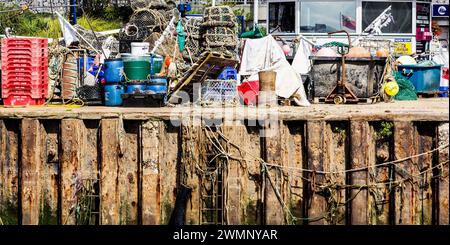 Aragosta e granchio con reti e scatole di pesce Foto Stock