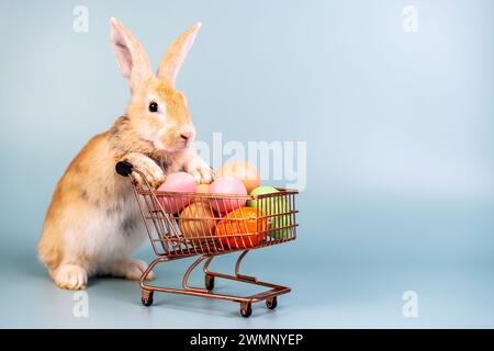 Un soffice coniglietto con uova di Pasqua colorate sul trolley. Foto Stock