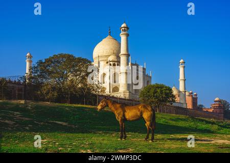 Taj Mahal, patrimonio mondiale dell'UNESCO, ad Agra, India al tramonto Foto Stock