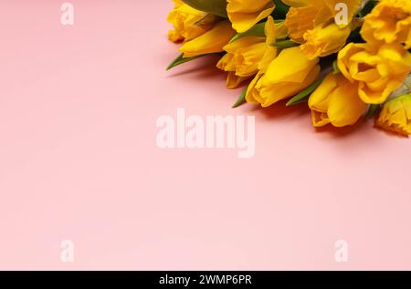Tulipani gialli su sfondo rosa. Composizione colorata primaverile, bouquet di fiori. Foto Stock
