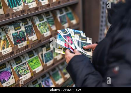 Vista ravvicinata di una donna che esamina pacchetti di semi di ortaggi selezionati nel negozio di orto. Concetto di giardinaggio. Svezia. Uppsala. Foto Stock