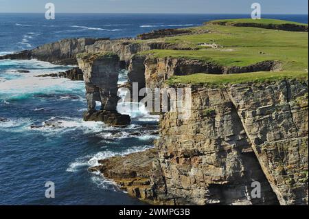 Castello di Yesnaby, una pila di mare con arco naturale, Mainland Orkney, Scozia, luglio Foto Stock