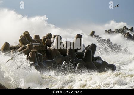 Scena di uragano, un gabbiano vola sulle onde e spruzza durante una tempesta costiera, punto focale selezionato Foto Stock