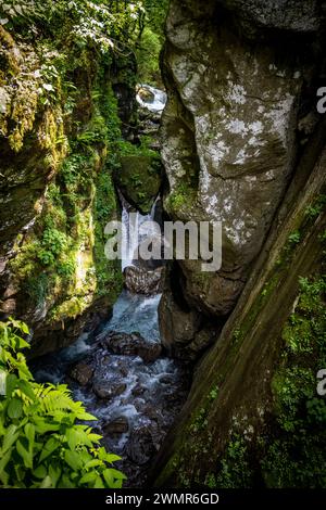 Splendido e selvaggio ambiente delle gole di Tolmin nel parco nazionale del fiume Soca, nel cuore delle Alpi slovene, con profondi canyon di pietra ricoperti di Foto Stock